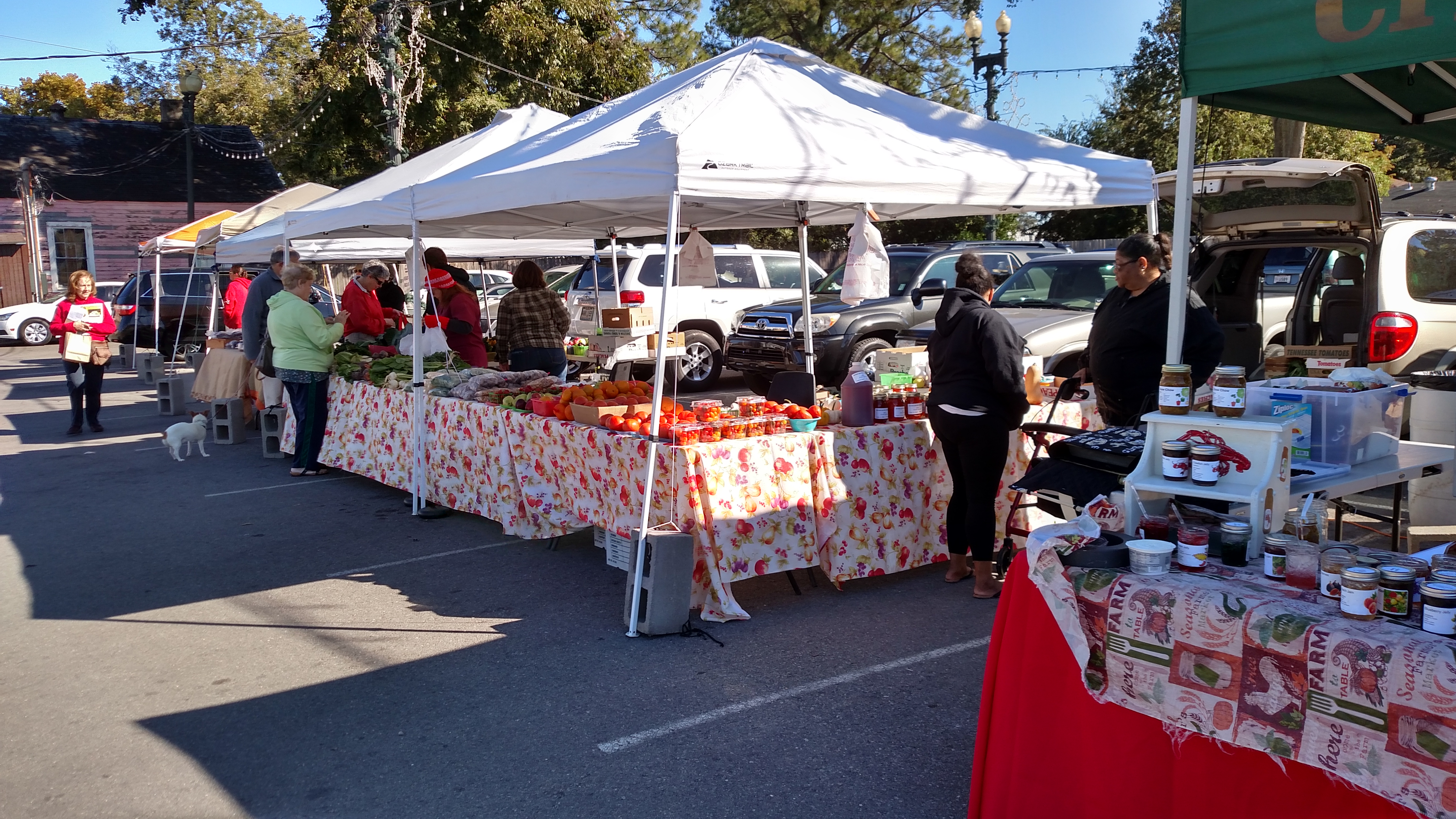 Exploring Local Farmers Markets in NOLA