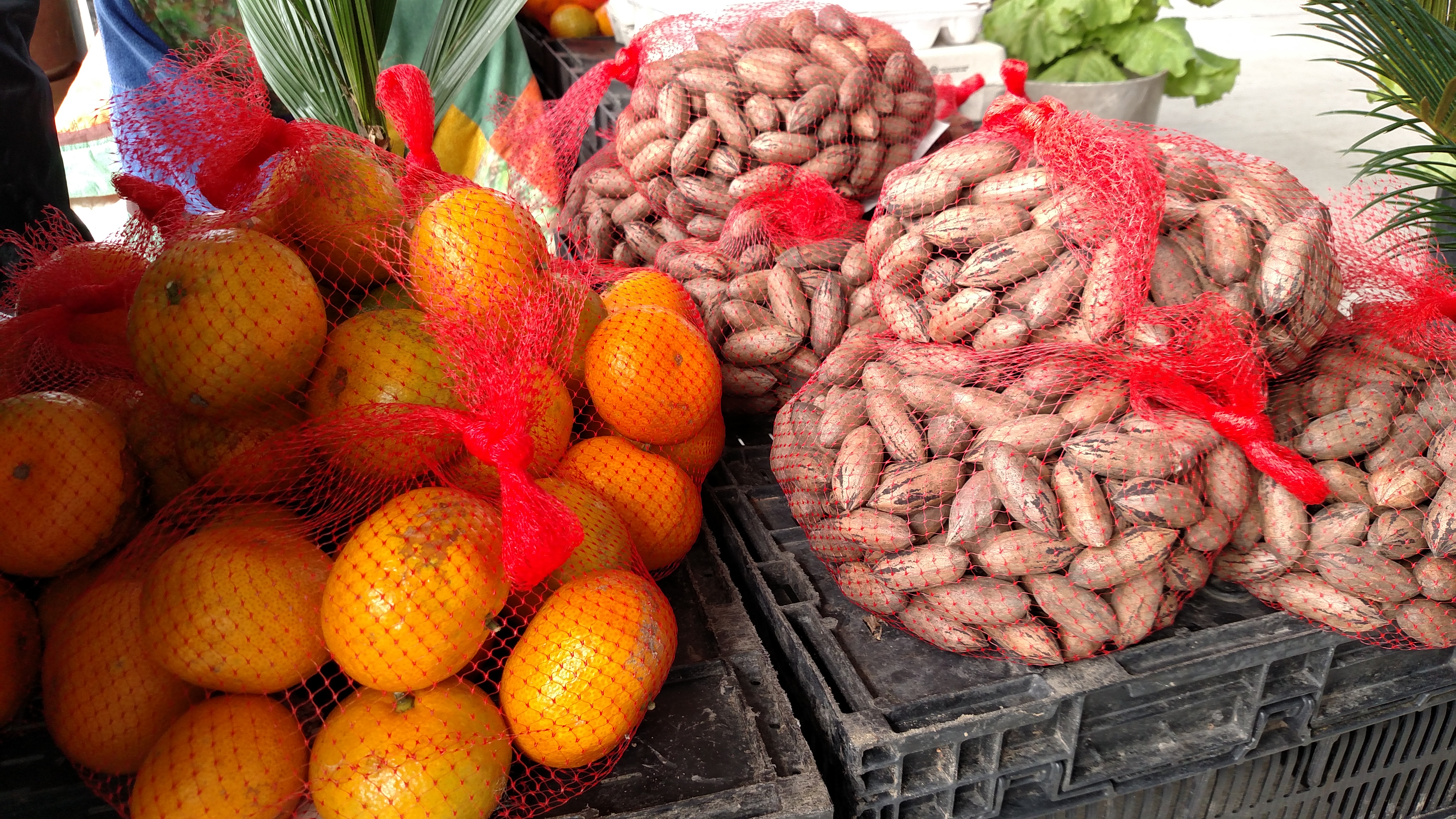 Exploring Local Farmers Markets in NOLA