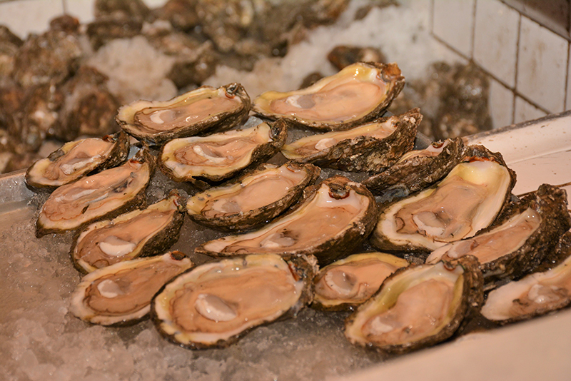 Oh, Shucks! It's National Oyster Day