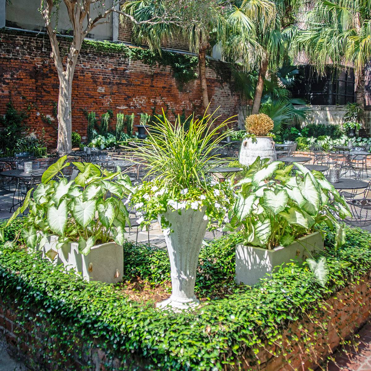 Outdoor Oasis: Great Spots for Alfresco Dining in New Orleans