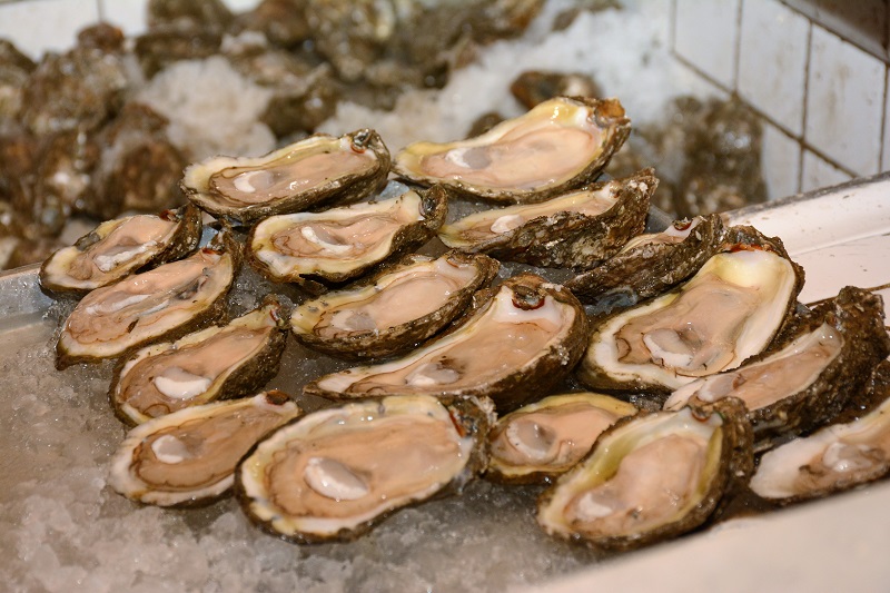 Louisiana Seafood Fest Serves Up Seafood with a Side of Tradition