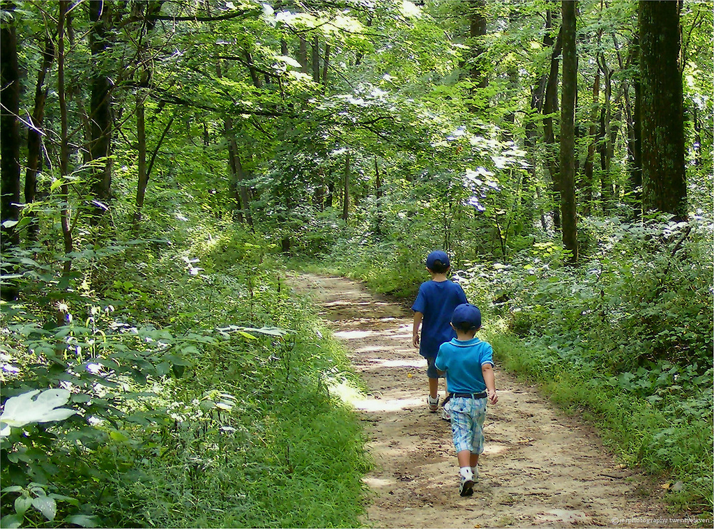 Clark's Creek Nature Trail: The Perfect Outdoor Getaway