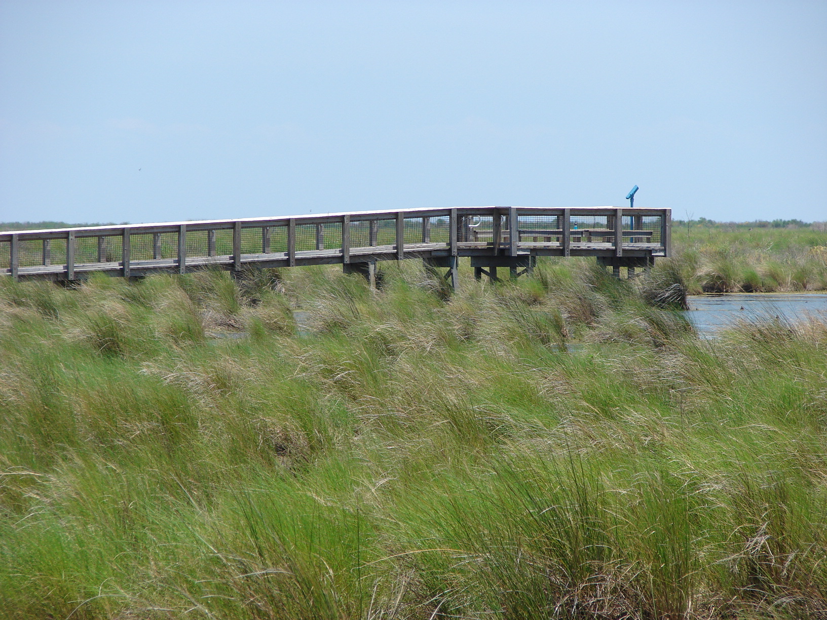 11 Things To Do With Your Dad in New Orleans on Father’s Day 