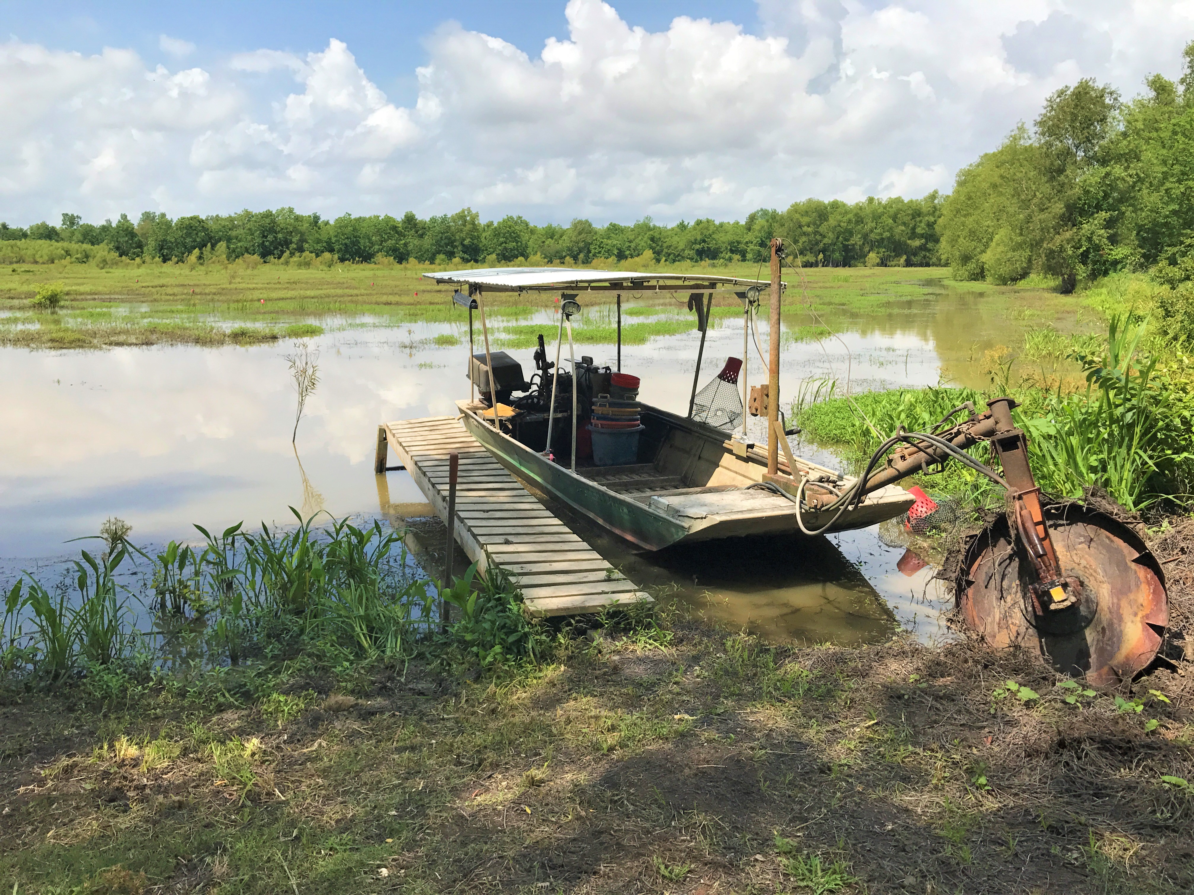 Where is the best crawfish in South Louisiana? Why is it the best? - Quora