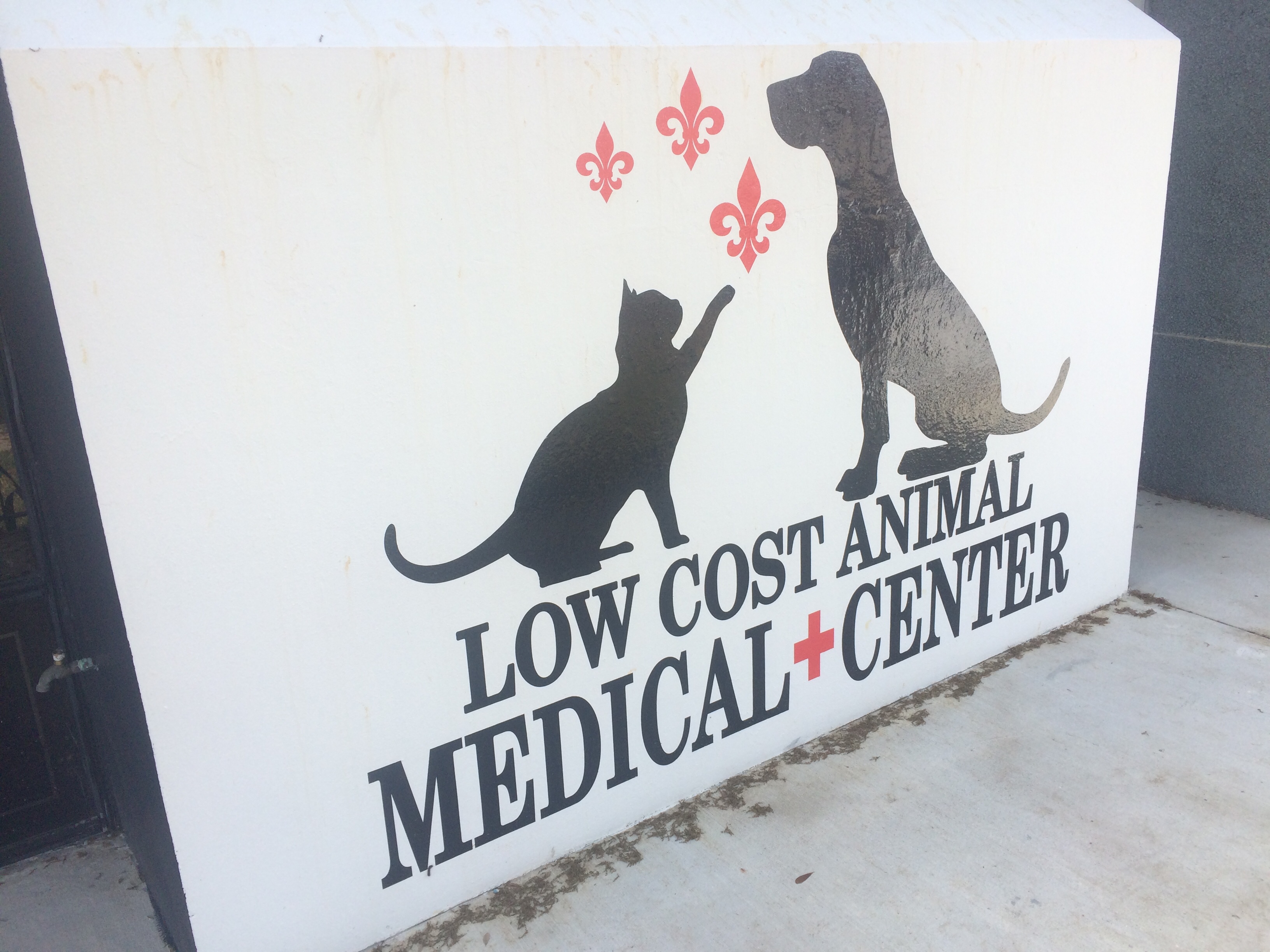 New Orleans Animals Need Checkups, Too Where Y'at