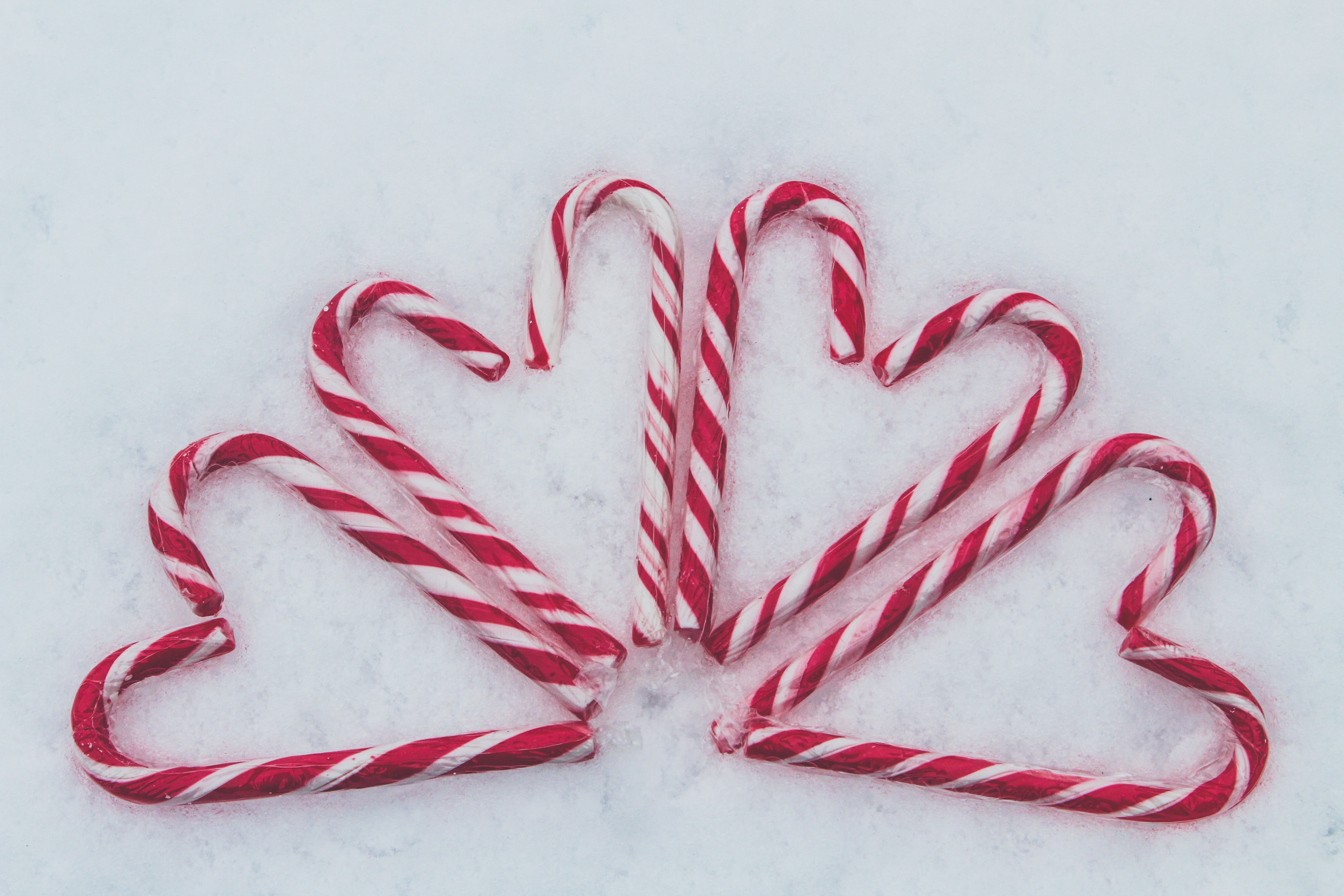 True Stripes Interesting Facts About Candy Canes Where Y'at